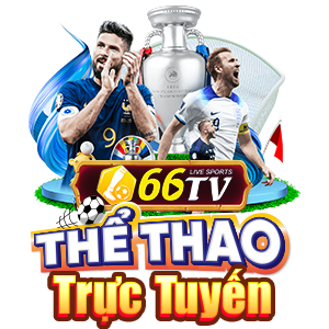 WC 2026