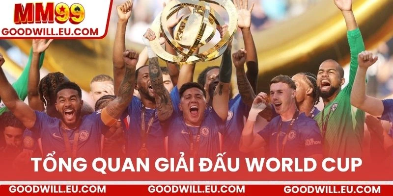 Tổng quan giải đấu World Cup