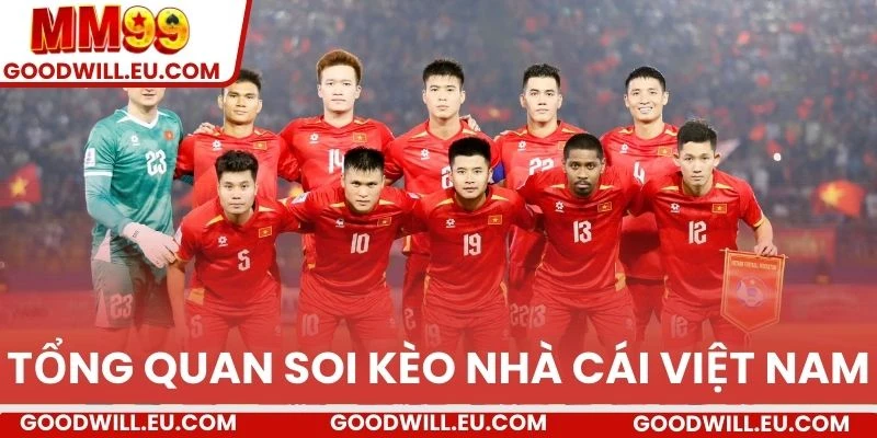 Tổng quan soi kèo nhà cái Việt Nam